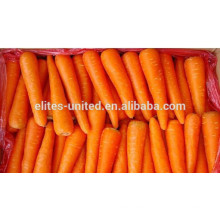 Chinesische frische Karottenpreis